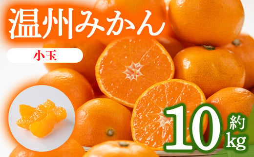 ＜期間限定！2024年10月上旬以降順次発送予定＞香川県産 温州みかん小玉サイズ(約10kg) 【man079】【Aglio nero】