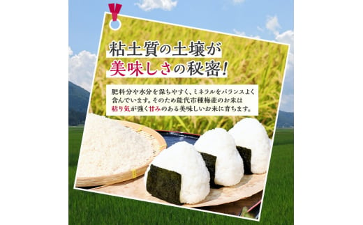 新米 米 お米 《定期便5ヶ月》【白米】秋田県産 あきたこまち あきた種梅産こまち 杜の雫 こだわりの大粒 9kg（4.5kg×2袋）×5回 合計45kg