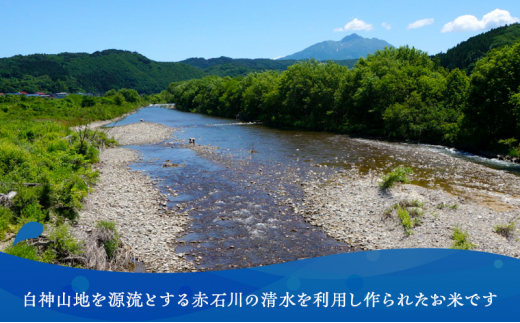 米 令和6年産 まっしぐら 玄米 20kg (10kg×2袋) こめ お米 おこめ コメ ご飯 ごはん 令和6年 山下農園 青森 青森県