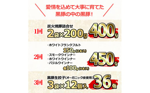 【0355105b】＜定期便・全3回＞無添加鹿児島黒豚だらけの定期便(炭火焼豚 400g・ソーセージ4種 合計14本・餃子 計36個)黒豚 豚肉 ぶた肉 炭火焼豚 焼豚 フランクフルト 餃子 セット【鹿児島ますや】