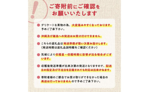 【2024年10月下旬以降発送分先行受付】りんご（昂林） 5kg