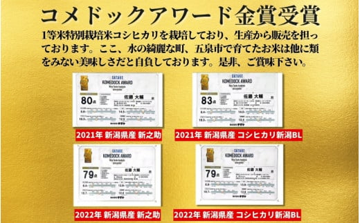 令和6年産【お米ソムリエのお米】新之助 精米 10kg（5kg×2袋）五泉市四ヶ村産 米 お米 新潟県 五泉市 エバーグリーン農場