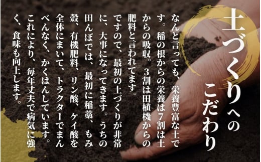 令和6年産【お米ソムリエのお米】新之助 精米 10kg（5kg×2袋）五泉市四ヶ村産 米 お米 新潟県 五泉市 エバーグリーン農場