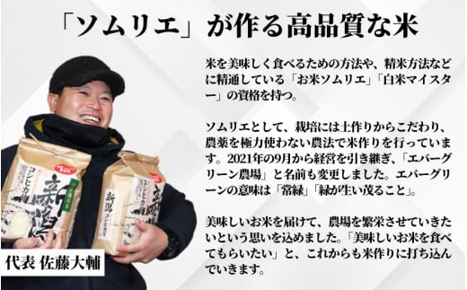 令和6年産【お米ソムリエのお米】新之助 精米 10kg（5kg×2袋）五泉市四ヶ村産 米 お米 新潟県 五泉市 エバーグリーン農場