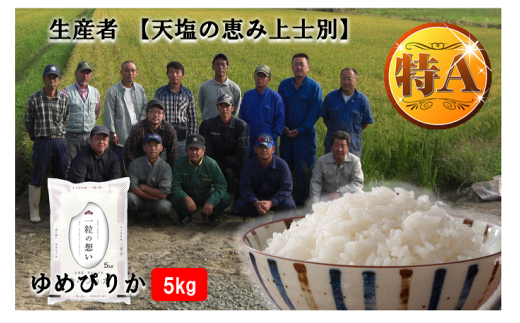 【北海道士別市】※令和6年産米※【9カ月定期便】上士別の生産者がつくるゆめぴりか20㎏×9回