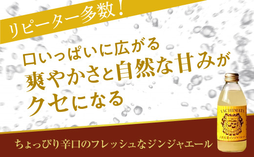 【毎月お届け12回】 八街生姜ジンジャーエール （ 250ml × 10本 × 12回 ） ジンジャーエール 生姜 八街 定期便 ジュース ジンジャー 瓶 ビン セット