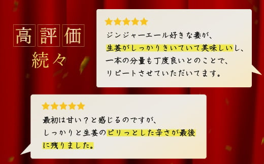 【毎月お届け12回】 八街生姜ジンジャーエール （ 250ml × 10本 × 12回 ） ジンジャーエール 生姜 八街 定期便 ジュース ジンジャー 瓶 ビン セット