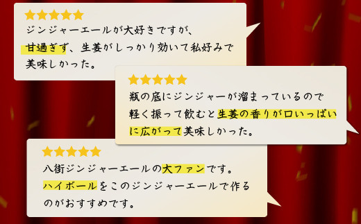 【毎月お届け12回】 八街生姜ジンジャーエール （ 250ml × 10本 × 12回 ） ジンジャーエール 生姜 八街 定期便 ジュース ジンジャー 瓶 ビン セット