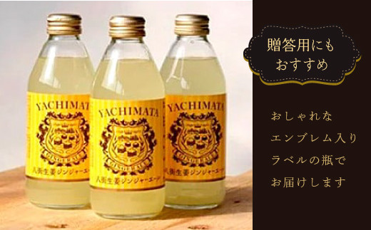 【毎月お届け12回】 八街生姜ジンジャーエール （ 250ml × 10本 × 12回 ） ジンジャーエール 生姜 八街 定期便 ジュース ジンジャー 瓶 ビン セット