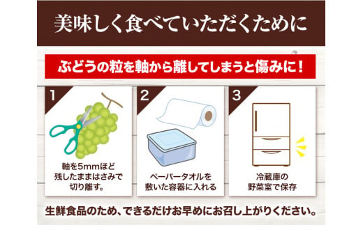 235.【先行予約】 岡山県産 加温栽培 つる付き シャインマスカット 1房 (680g以上) 【配送不可地域あり】 《7月上旬-8月下旬頃出荷予定》 岡山県 矢掛町 マスカット ぶどう 葡萄 果物