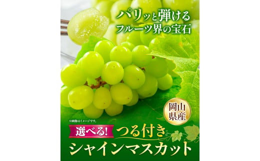 235.【先行予約】 岡山県産 加温栽培 つる付き シャインマスカット 1房 (680g以上) 【配送不可地域あり】 《7月上旬-8月下旬頃出荷予定》 岡山県 矢掛町 マスカット ぶどう 葡萄 果物