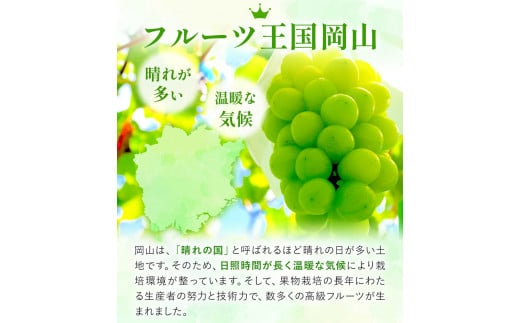 235.【先行予約】 岡山県産 加温栽培 つる付き シャインマスカット 1房 (680g以上) 【配送不可地域あり】 《7月上旬-8月下旬頃出荷予定》 岡山県 矢掛町 マスカット ぶどう 葡萄 果物