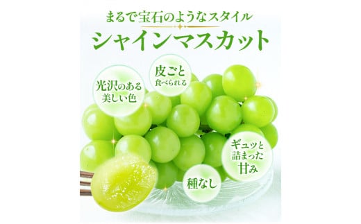 235.【先行予約】 岡山県産 加温栽培 つる付き シャインマスカット 1房 (680g以上) 【配送不可地域あり】 《7月上旬-8月下旬頃出荷予定》 岡山県 矢掛町 マスカット ぶどう 葡萄 果物