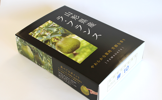 【令和6年産先行予約】 【ネオニコフリー】 大玉ラ・フランス 約5kg (12～14玉 特秀 4～5L) 《令和6年11月上旬～発送》 『遠藤果樹農園』 厳選 こだわり ラフランス 西洋梨 洋なし 果物 フルーツ デザート 山形県 南陽市 [1061]