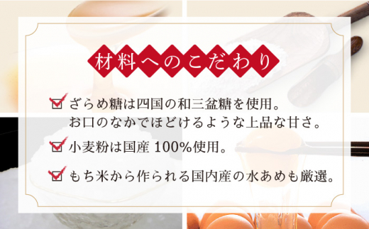 【全12回定期便】「味の芸術品」特撰 カステラ［1号］計12本（約580g×1本/回）【文明堂総本店】 [QAU011]