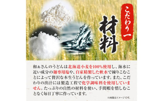 おうどんセット ６人前 《90日以内に出荷予定(土日祝除く)》和ぁさん家、株式会社栄工製作所 うどん 麺 生麺 生うどん 本格 手作り 和食 ご家庭用 こだわり お手軽 ギフト セット 薬味 だし付き 徳島県 美馬市