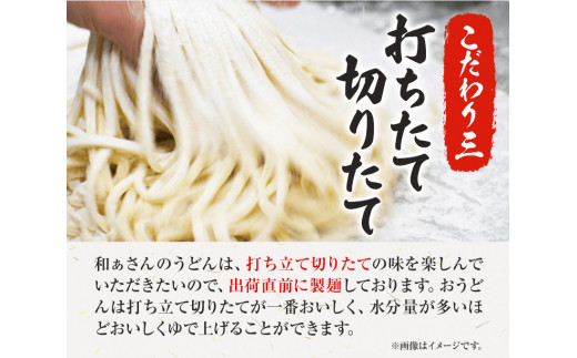 おうどんセット ６人前 《90日以内に出荷予定(土日祝除く)》和ぁさん家、株式会社栄工製作所 うどん 麺 生麺 生うどん 本格 手作り 和食 ご家庭用 こだわり お手軽 ギフト セット 薬味 だし付き 徳島県 美馬市