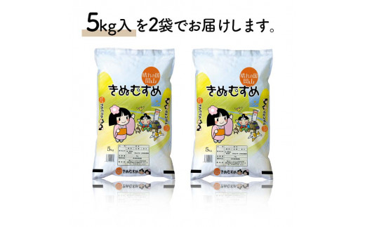 【天満屋選定品】岡山県産きぬむすめ 10kg（5kg×2袋） きぬむすめ 米 お米 ブランド米 銘柄米 備蓄 日本米 コメ ごはん ご飯 食品 TY0-0789