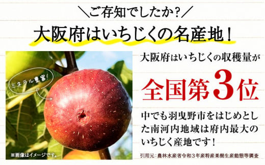 いちじくどら焼きセット10個入り 羽曳野商工振興株式会社《2024年10月上旬から2025年6月上旬出荷予定(土日祝除く)》大阪府 羽曳野市 いちじく どらやき スイーツ 送料無料