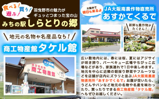 いちじくどら焼きセット10個入り 羽曳野商工振興株式会社《2024年10月上旬から2025年6月上旬出荷予定(土日祝除く)》大阪府 羽曳野市 いちじく どらやき スイーツ 送料無料