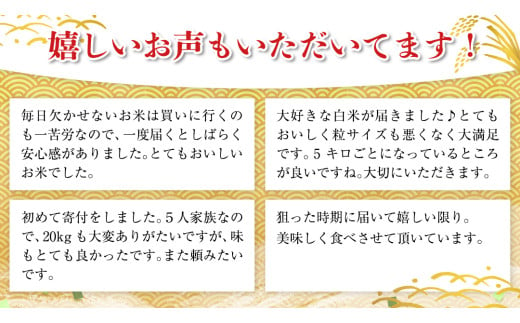 【 3月下旬発送 / 数量限定 】新米 茨城県産 2種 食べ比べ 精米 10kg (5kg×2袋） 令和6年産 こしひかり 米 コメ こめ 単一米 限定 茨城県産 国産 美味しい お米 おこめ おコメ