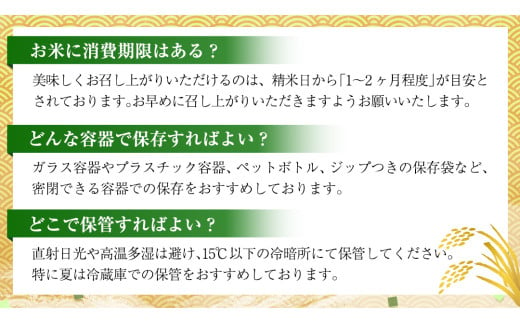 【 3月下旬発送 / 数量限定 】新米 茨城県産 2種 食べ比べ 精米 10kg (5kg×2袋） 令和6年産 こしひかり 米 コメ こめ 単一米 限定 茨城県産 国産 美味しい お米 おこめ おコメ