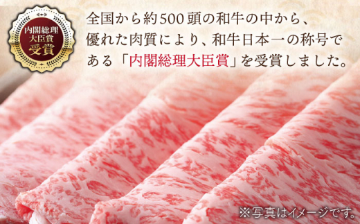 【全6回定期便】長崎和牛 モモスライス 総計3.0kg （約500g/回）【ながさき西海農業協同組合】 [QAK032] 牛肉 赤身 スライス しゃぶしゃぶ 11万4千円 114000円