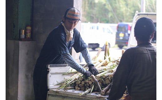 【2025年お届け】大名筍 3kg ( 約11本 ) ( 竹島産 )