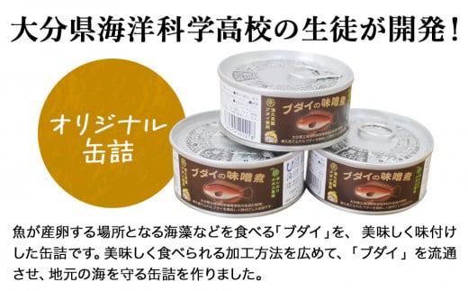 かぼす風味 ブダイの味噌煮 120g×2 缶詰 加工品 珍味 非常食 防災 常温保存 備蓄 キャンプ飯 アウトドア かぼす 魚 煮つけ 大分県産 九州産 津久見市