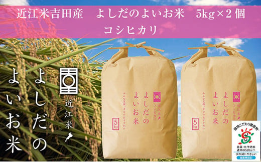 【新米】令和6年産　よしだのよいお米 近江米コシヒカリ5kg×2