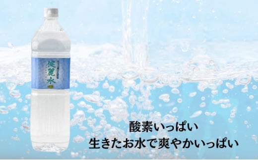 健麗水No.3（ペットボトル1.5L×6本）  飲料類 水 健康　[№5675-1317]