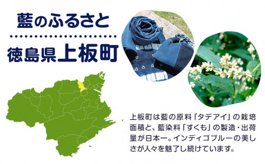 かきじぃ ボールペン ペン 上板町役場《30日以内に出荷予定(土日祝除く)》かきじぃ ゆるキャラ ゆるきゃら 徳島県 上板町 こども 子ども 子供 キャラクター