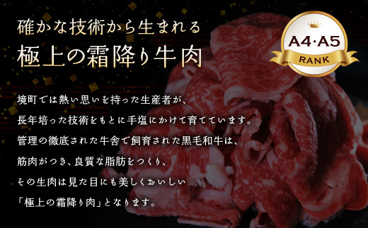 K1517＜2025年08月発送＞【A5・A4等級】常陸牛 切り落とし 1000g