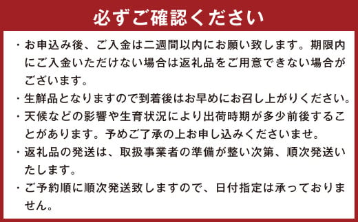 不知火 約7kg（15～28玉） しらぬい 果物 くだもの フルーツ 柑橘 【2025年2月上旬-4月上旬発送予定】