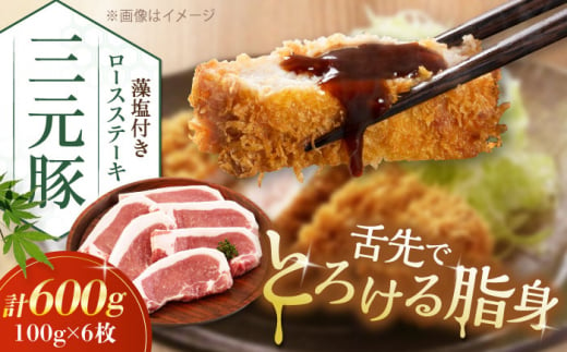 肉 豚肉 ロース ステーキ ステーキ用 とんかつ トンテキ 生姜焼き 冷蔵配送