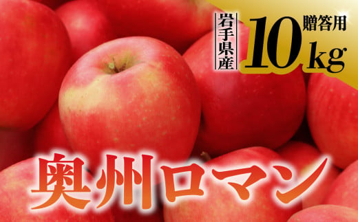 【先行予約】令和6年産 りんご 奥州ロマン 贈答用 10kg 岩手県 金ケ崎町産 10月中旬発送予定