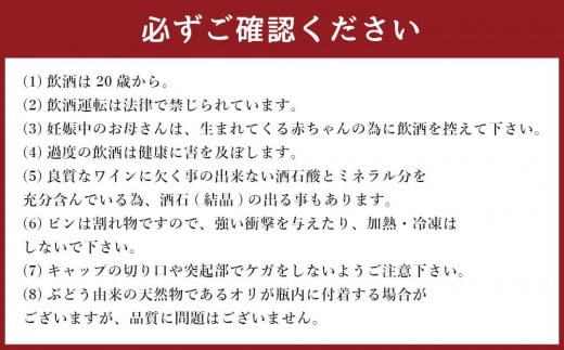 辛口づくし ハーフ 360ml×12本セット 生ワイン 飲み比べ