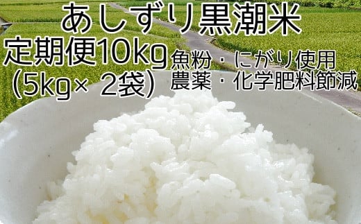 【5回定期便】あしずり 黒潮米10kg(5kg×2袋)×5回 定期便 5回 【コシヒカリ】 こしひかり 精米 白米 お米 おコメ 米 ブランド米 ご飯 ごはん おにぎり おいしい 国産 高知県 高知【J00181】