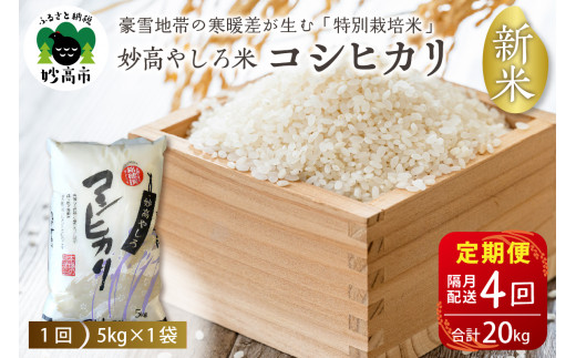 令和6年産【定期便：隔月】新潟県 妙高やしろ米 コシヒカリ20kg(５㎏×4回)