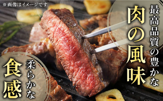 【大満足！】長崎和牛 焼肉 3種の 食べ比べ セット 計600g【黒牛】 [QBD024] 肉 焼肉 カルビ モモ 肩ロース 23000円 2万3千円  