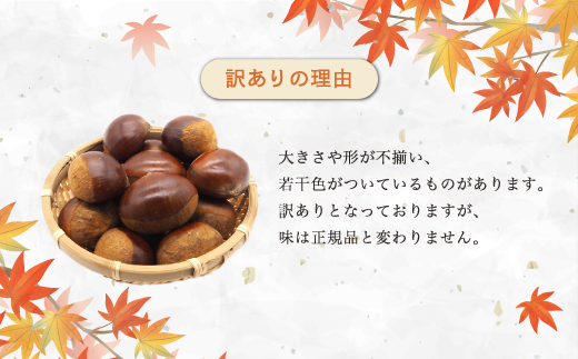 《2024年12月発送》【訳あり】京栗生むき栗1kg（250g×4袋） 京都 綾部 丹波栗 自然栽培 京都府産 農家直送 国産 わけあり 訳アリ 無農薬 果物 フルーツ くり 栗