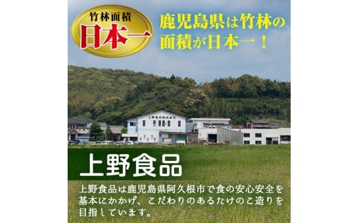 味付サラダたけのこ(計560g・70g×8袋)国産 九州産 筍 野菜 使い切り 小分け 個包装【上野食品】a-12-190-z