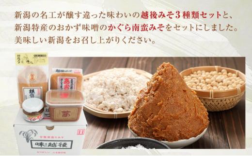 味噌 いろいろな味わいの越後みそ3種類と新潟名産かぐら南蛮みそ セット みそ 味噌汁