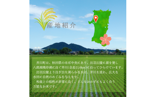 【令和６年産先行受付】【定期便】精米５ｋｇ×５ヶ月　秋田県井川町産あきたこまち