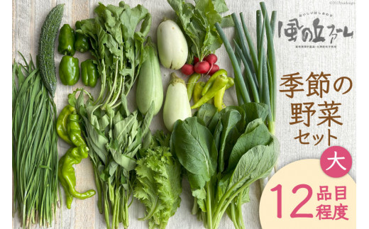 季節の野菜セット大 [ 風の丘ファーム 埼玉県 小川町 206] 野菜 やさい 季節の野菜 野菜セット セット 詰め合わせ 旬 春 夏 秋 冬