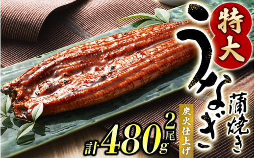 1尾で約240gのビッグサイズ うなぎ蒲焼 2尾 計約480g （タレ・山椒付き） 【2月発送】【nks700B-2】