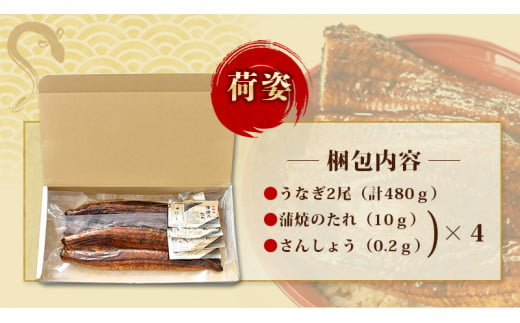 1尾で約240gのビッグサイズ うなぎ蒲焼 2尾 計約480g （タレ・山椒付き） 【2月発送】【nks700B-2】