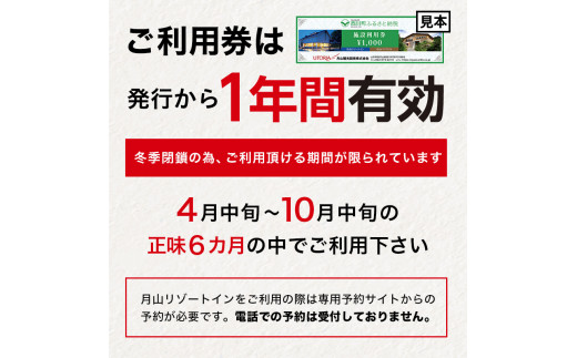 FYN9-396 山形県西川町 月山リゾート・スキー場で使える 月山観光開発利用券 30000円分