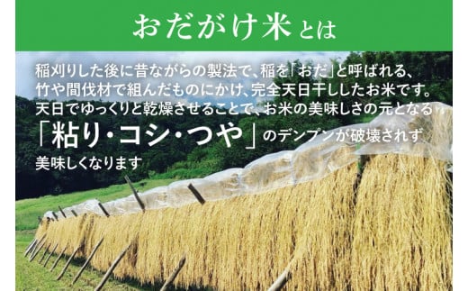 厳選大子米（おだがけ米）5kg お米 白米 コシヒカリ 大子町 茨城県（AJ003-1）