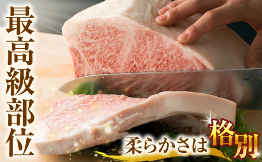 【A4～A5】長崎和牛サーロインステーキセット　500g（250g×2枚）【株式会社 MEAT PLUS】 [QBS014]